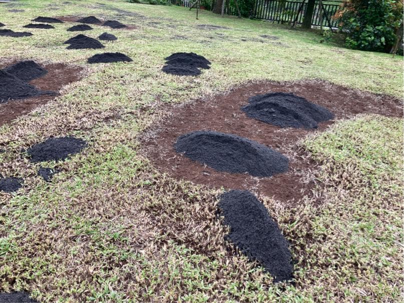這張照片是一片草坪,上面有很多堆黑色的土。