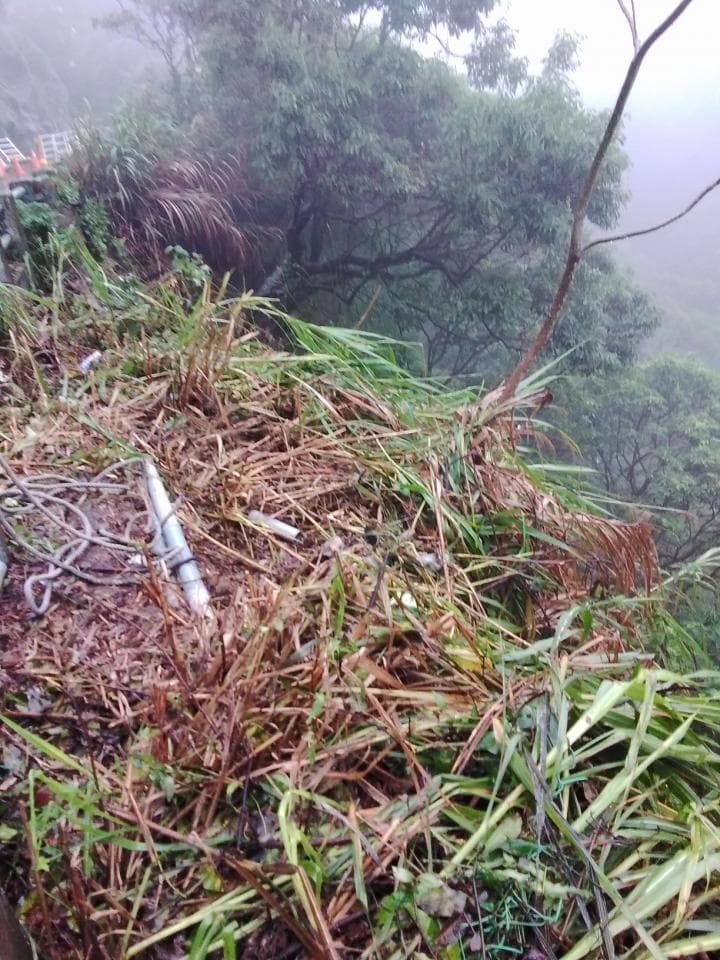 這張照片是一片被雜草覆蓋的土地,地上有一些枯枝和樹枝,看起來像是發生過山坡土石流。