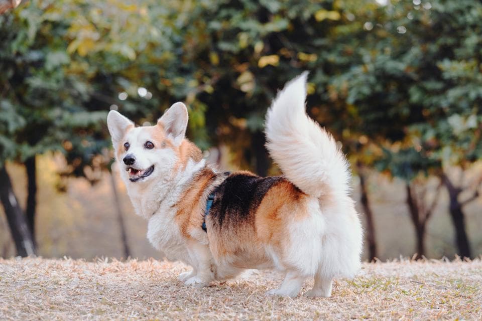 1) 這是一張建築工地照片,照片中顯示一個正在建設的房間,房間內部已經完成部分的牆壁和天花板施工,房間中央有一個大窗戶,窗戶外可以看見遠處的建築物