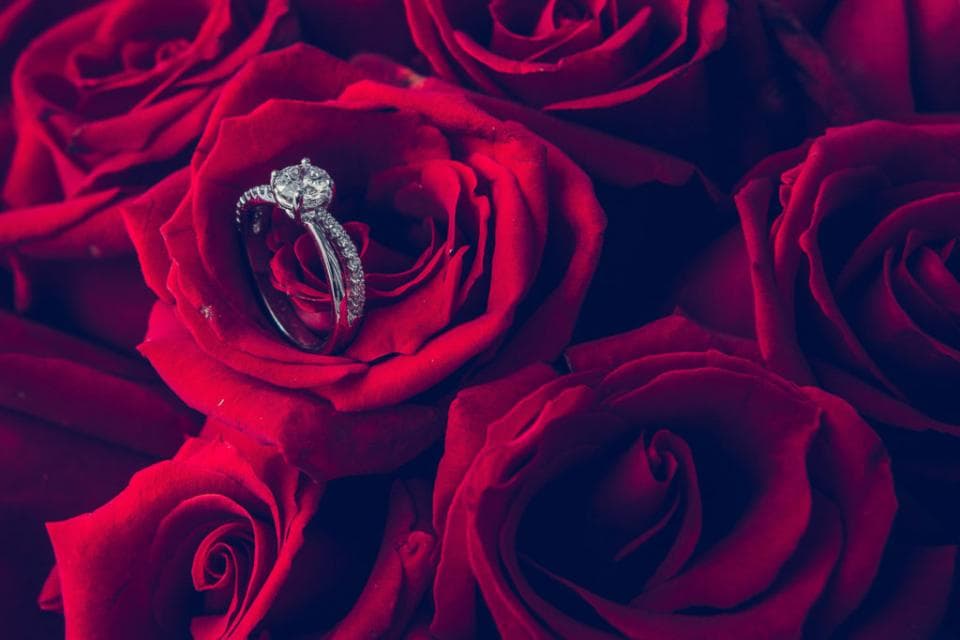 這張「玫瑰花瓣」的照片是許多紅色玫瑰花瓣,中間放著一枚鑽戒。