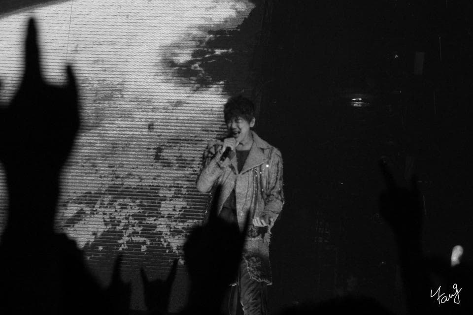 這張「演唱會」的照片是一個歌手在臺上唱歌,臺下有很多歌迷。