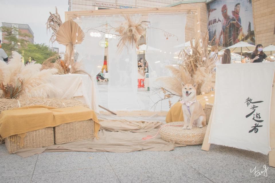 這張照片是一個裝飾有乾草和花卉的戶外空間,一隻可愛的柴犬坐在一個藤椅上,前方放了一個白色招牌。