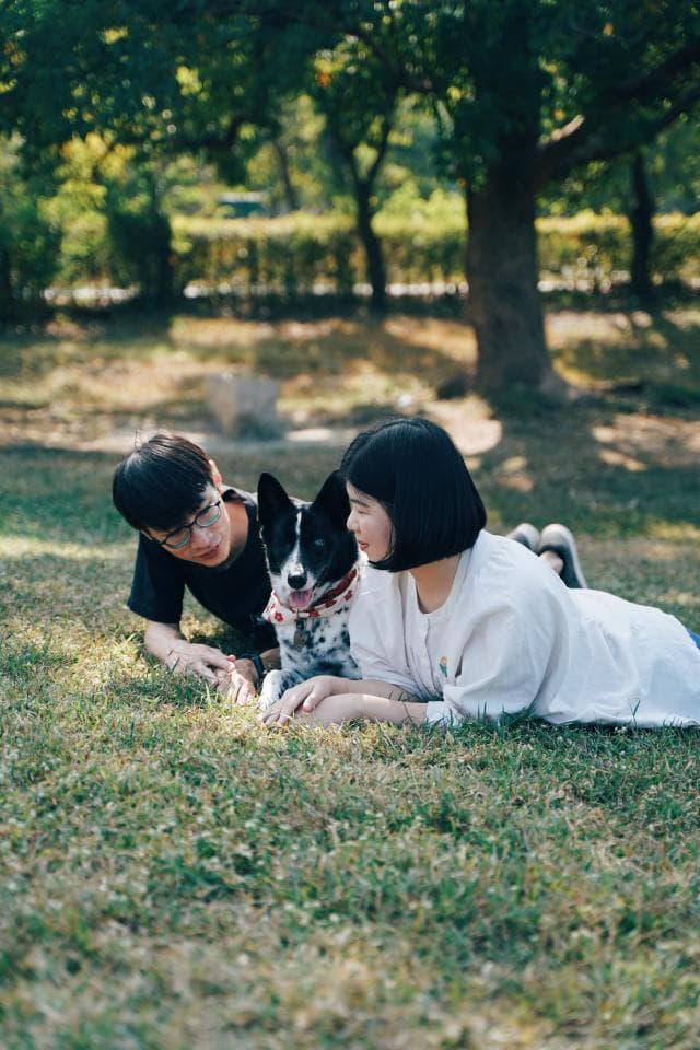 這張照片是一個年輕的夫婦在草地上與他們的狗玩耍。他們看起來很開心,狗也顯得非常高興。