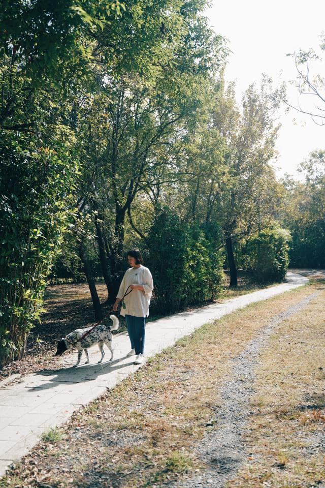 這張照片是一名女子牽著一隻斑點狗,走在綠樹成蔭的公園小徑上。