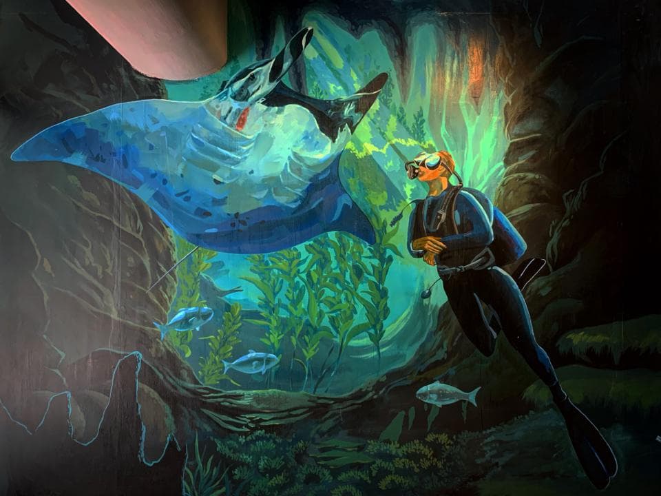 這張「海底世界」的照片是一個潛水員在水底與大型魟魚一起游泳,畫面中有許多海草和魚類,看起來非常生動。