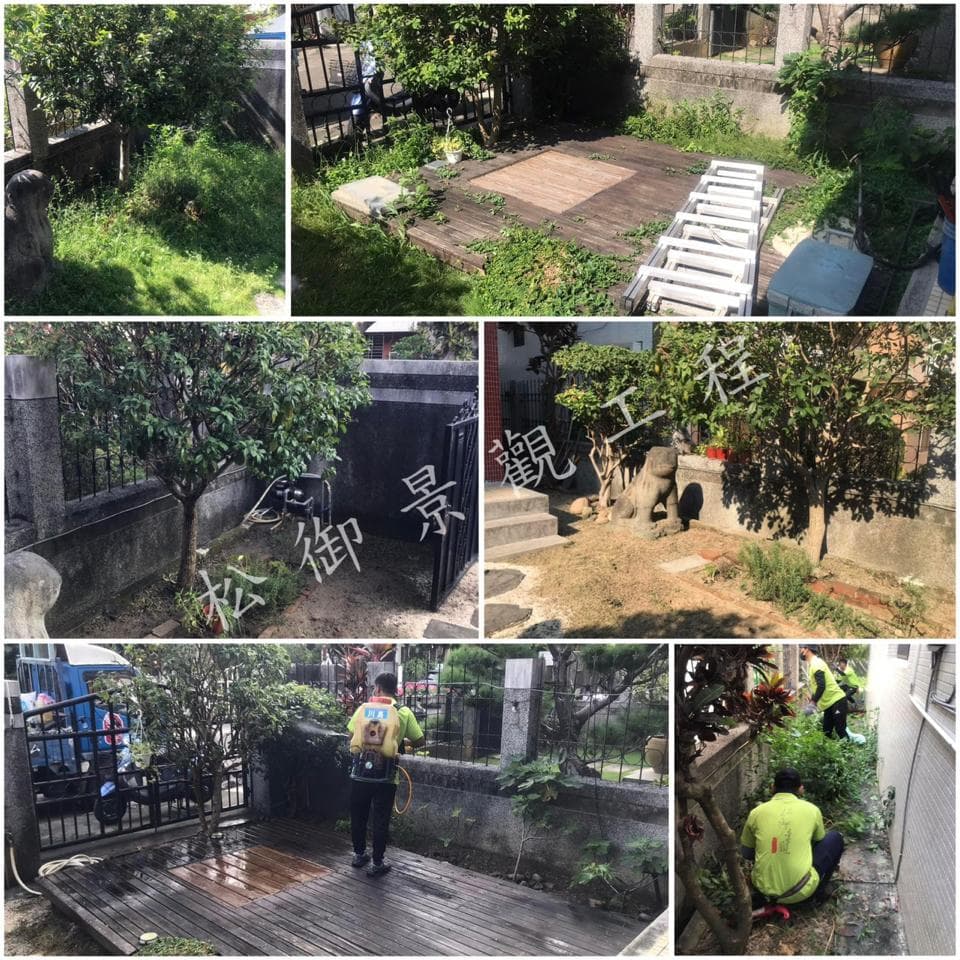 這張照片是幾張不同照片的拼貼,其中最重要的是一張照片,這張照片中,一位男子穿著綠色的工作服,手持一個噴霧器,正在噴灑植物。