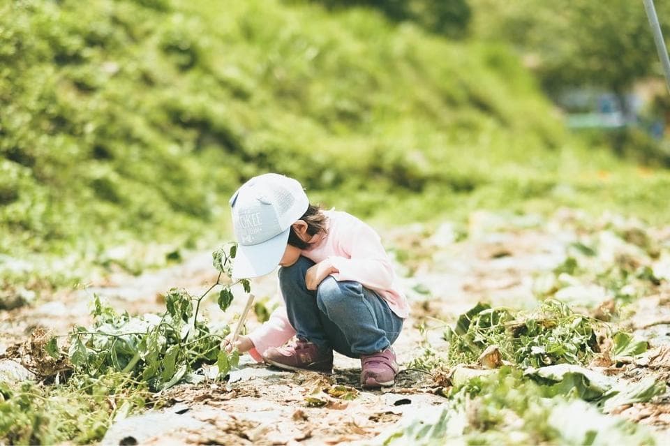 這張照片是一個戴著帽子的小女孩在田野裡觀察植物。