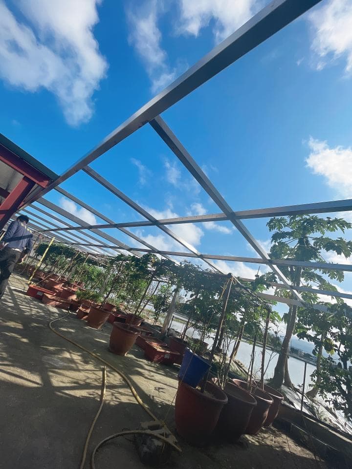 1) 照片顯示了一個帶有金屬框架的遮陽棚,遮陽棚下種植了許多盆栽