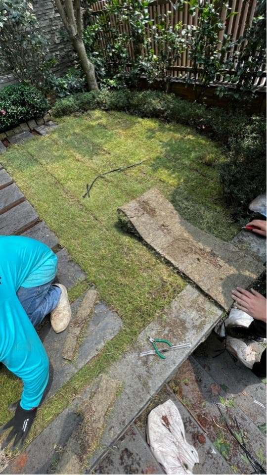 這張照片是正在鋪設草皮的庭院,照片裡有一個人正在用工具整理草皮。