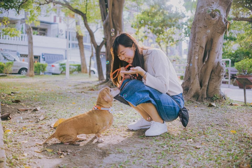 這張照片是一個年輕女子蹲在草地上,看著一隻棕色的小狗。他們之間的互動顯得非常溫馨。