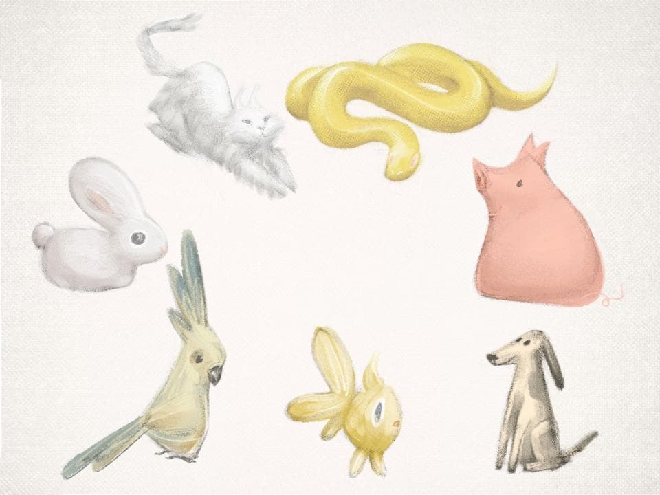 這張照片是一幅畫,畫中是一隻可愛的兔子。兔子是白色的,耳朵長長的,眼睛紅紅的,看起來非常可愛。