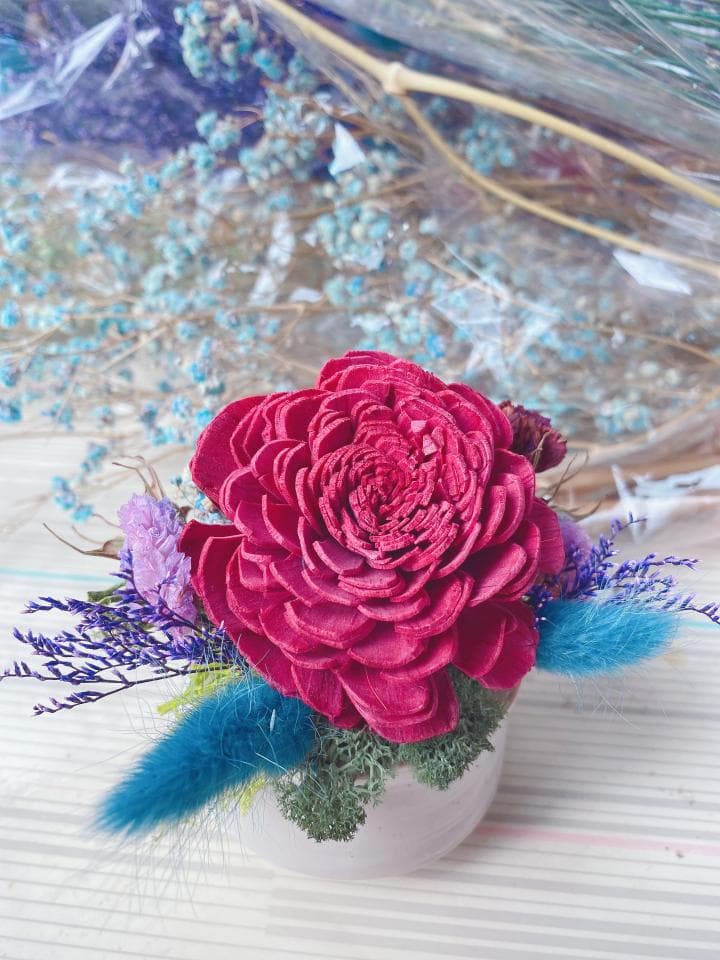 1) 照片中展示了一個裝在白色花盆中的粉色花朵