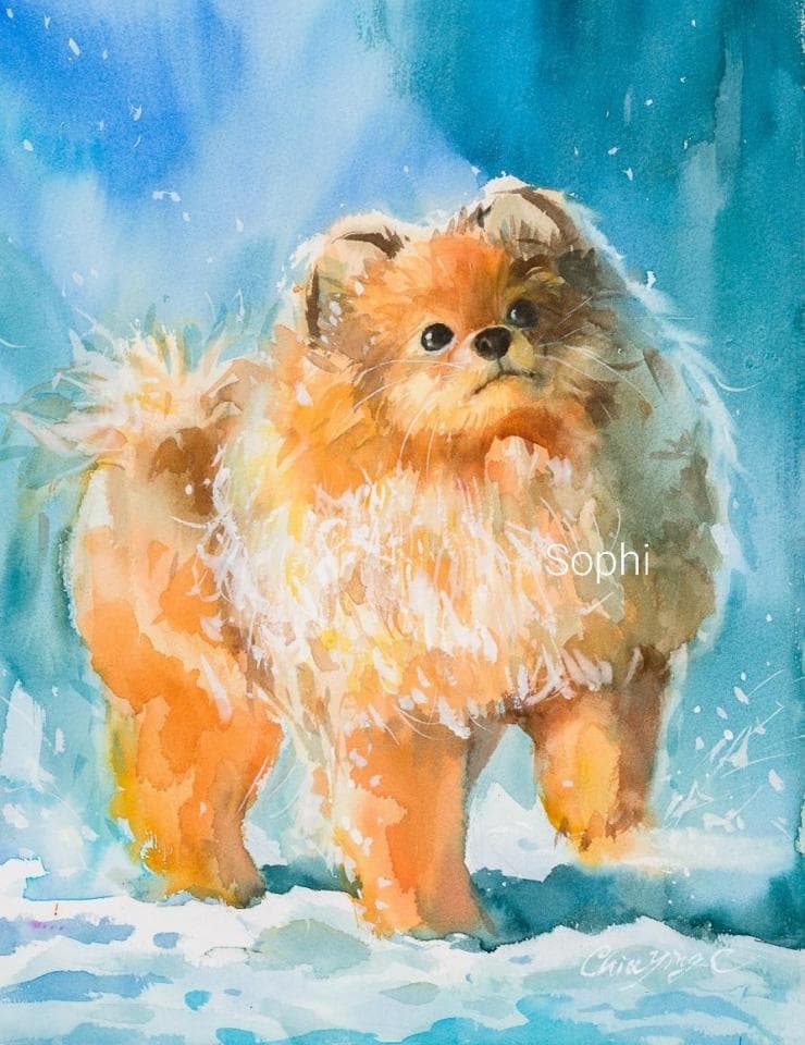 這張照片是一隻可愛的蓬鬆小狗,牠正站在雪地上,抬頭看著什麼,似乎很專注。牠的毛色是淺棕色,看起來很柔軟,而且牠的眼睛炯炯有神。