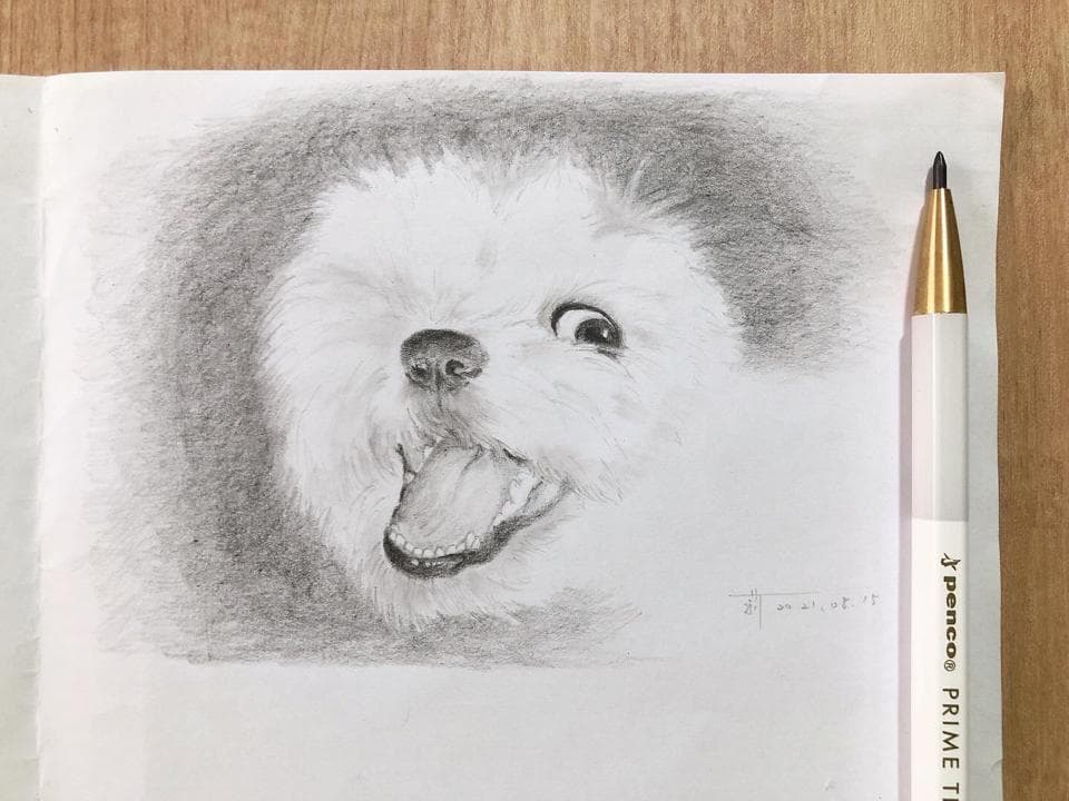 這張照片是一隻用鉛筆畫的白色小狗,牠嘴巴張開,露出牙齒,眼神可愛,讓人感覺牠很開心的樣子。