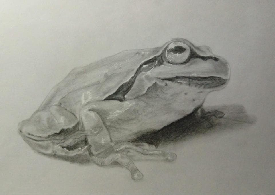 這張照片是一隻以寫實風格繪製的青蛙,牠的右眼特別突出,畫家用細膩的筆觸展現出青蛙眼球的質感和光澤。