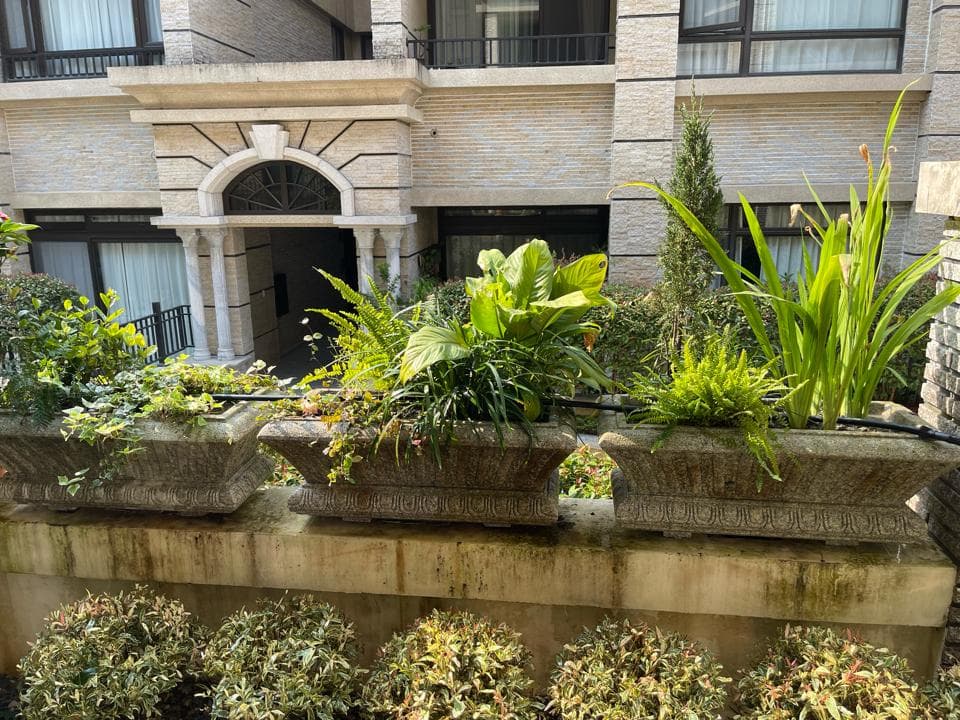 這張照片是三個精緻的石頭花盆,上面種滿綠色植物,裝飾在建築物外牆。