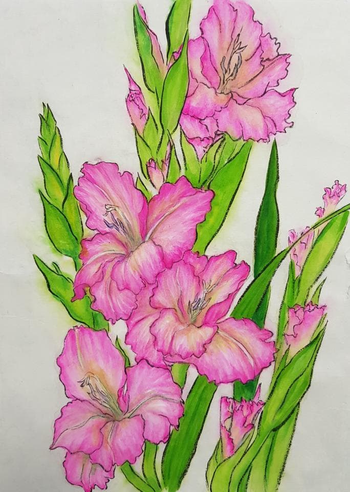 這張照片是粉紅色鳶尾花的寫意畫,以花朵的形態及色彩展現生命力。