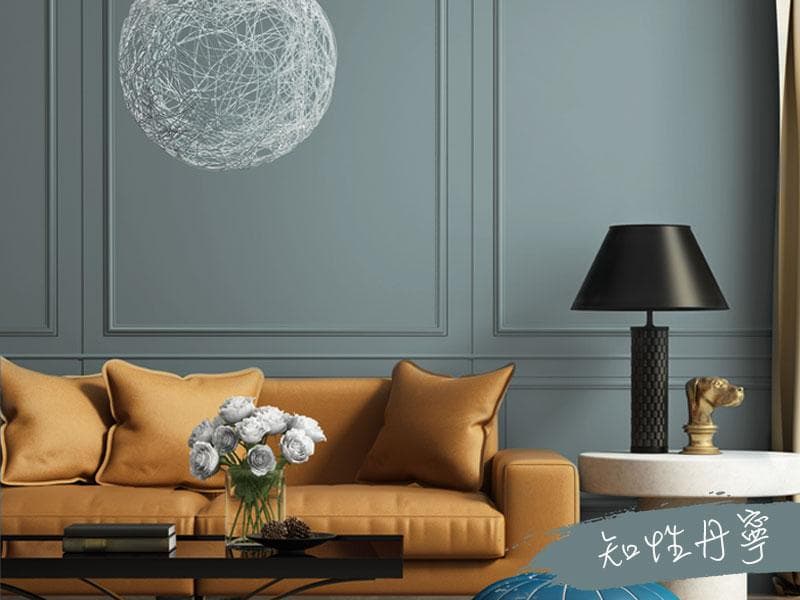 這張照片是一間客廳,其中最重要的是牆上掛著的網狀圓形燈飾。