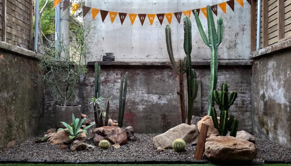 這張「沙漠花園」的照片是,以水泥牆為背景,種植了各種仙人掌和多肉植物。牆上掛著黃色的三角旗,為花園增添了一絲活潑的氣息。