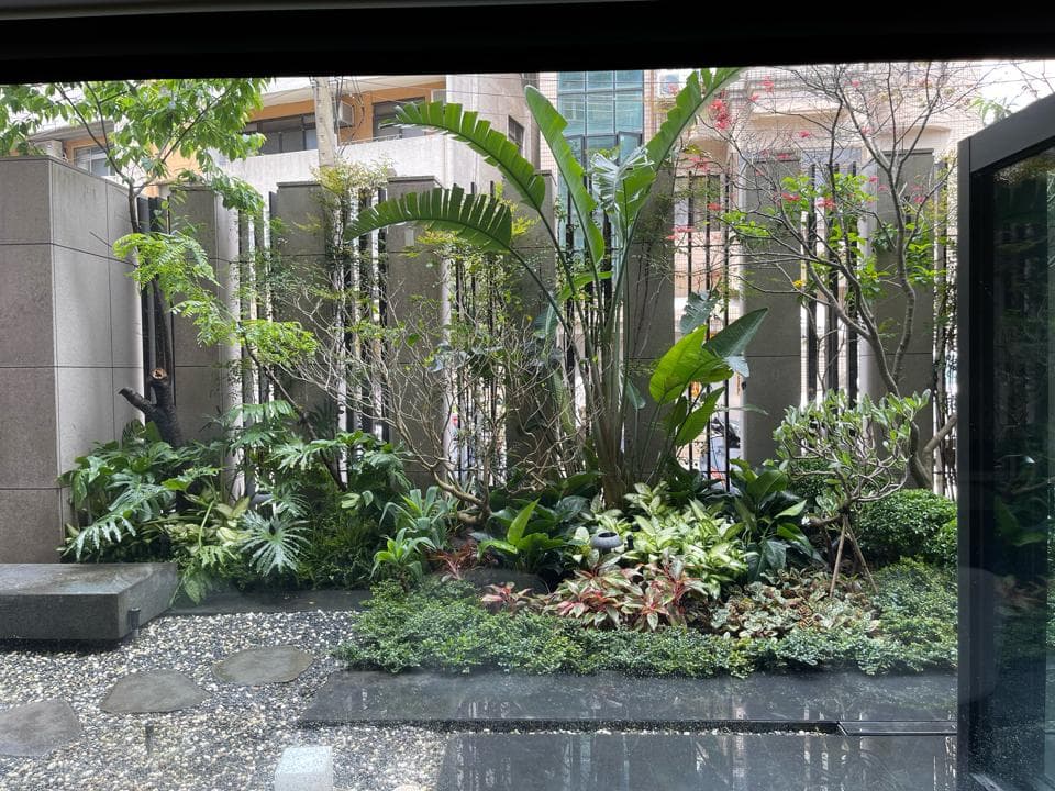 這張照片是一片由不同品種的植物組成的熱帶花園,綠色植物生長茂盛,為水泥建築增添生機。