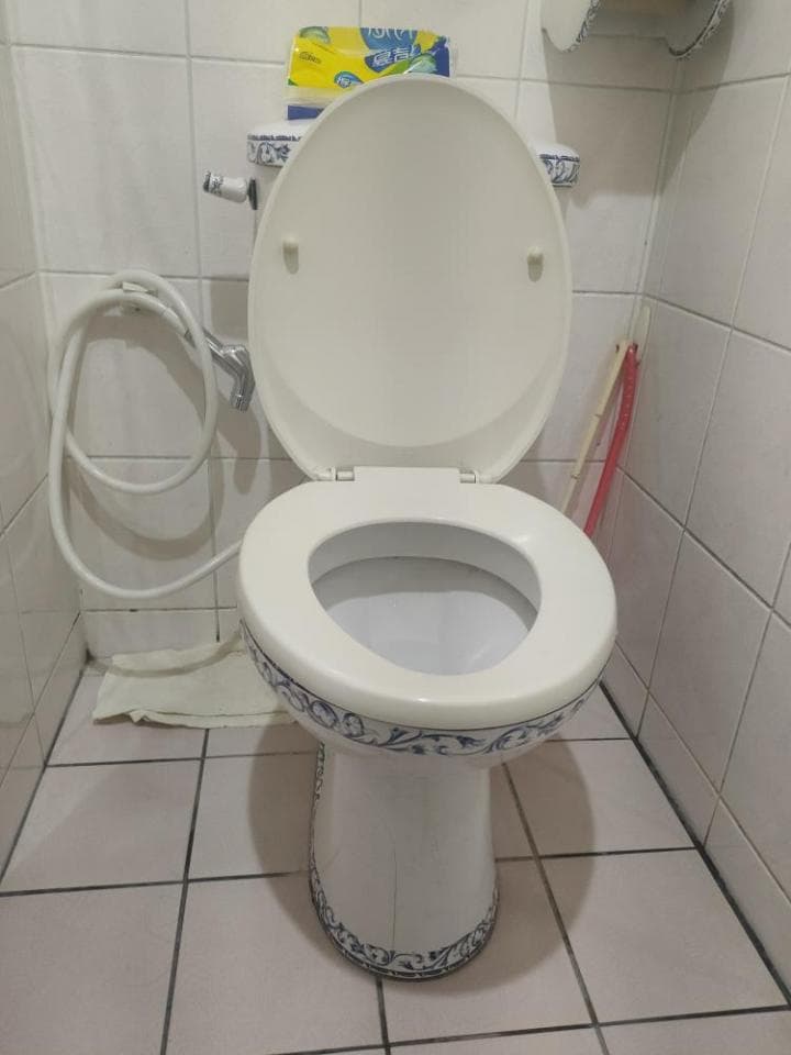 這張照片是一個馬桶,它有藍白相間的圖案,座圈是白色的,底座是圓形的。