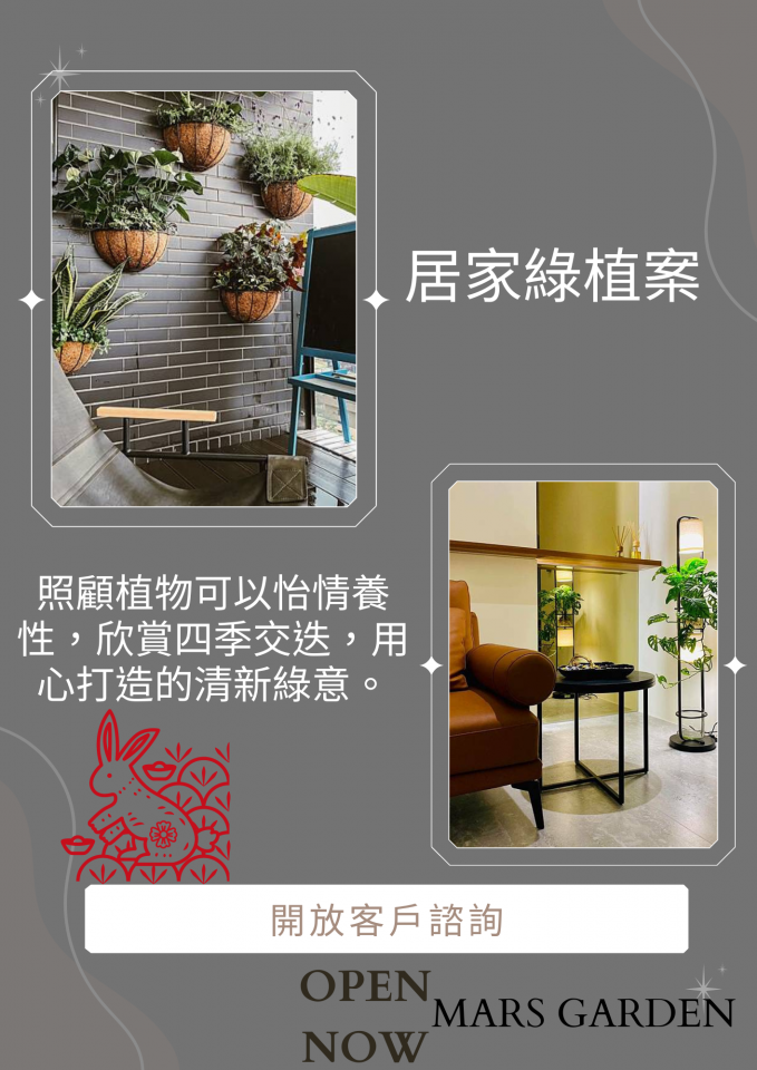 這張「居家綠植」的照片是,左邊是綠植裝飾,右邊是室內設計。