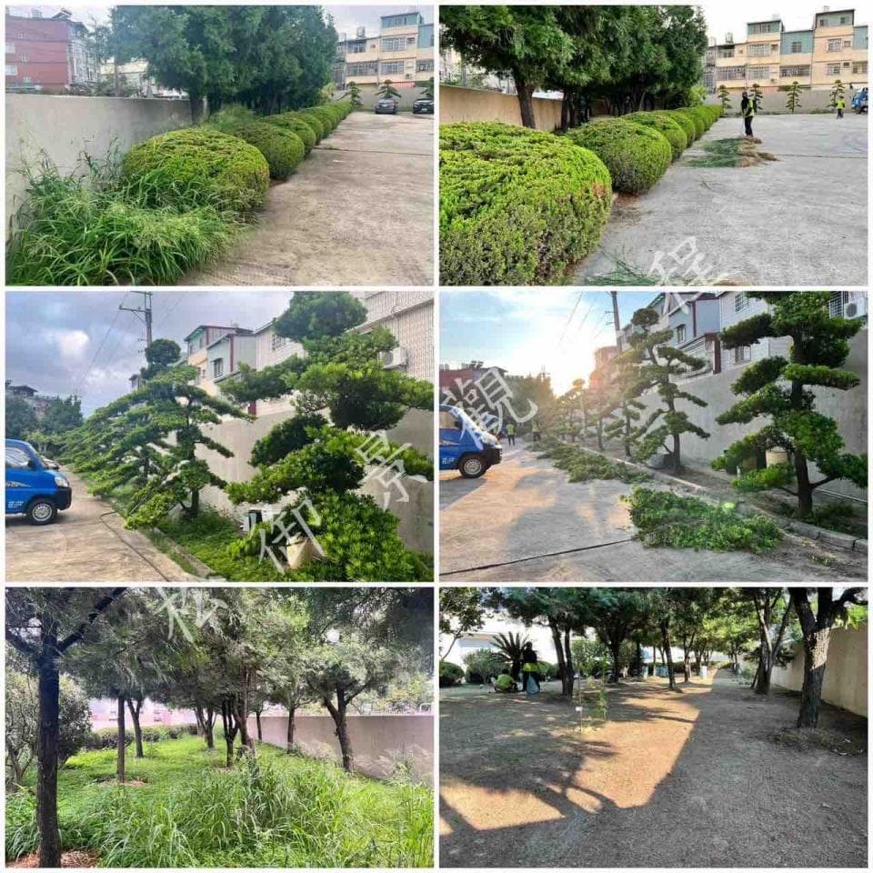 這張照片是一個由六張照片組成的拼圖,每張照片都呈現一個綠意盎然的戶外空間,其中充滿了茂密的樹木和灌木,這些植物為環境增添了生氣和活力。