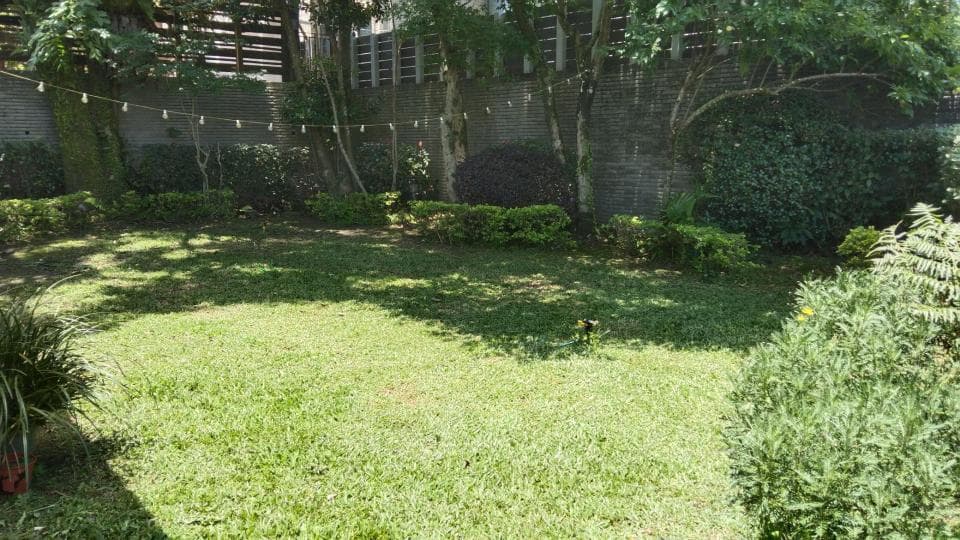 這張照片是一片綠油油的草坪,陽光透過樹葉照射下來,形成斑駁的光影。