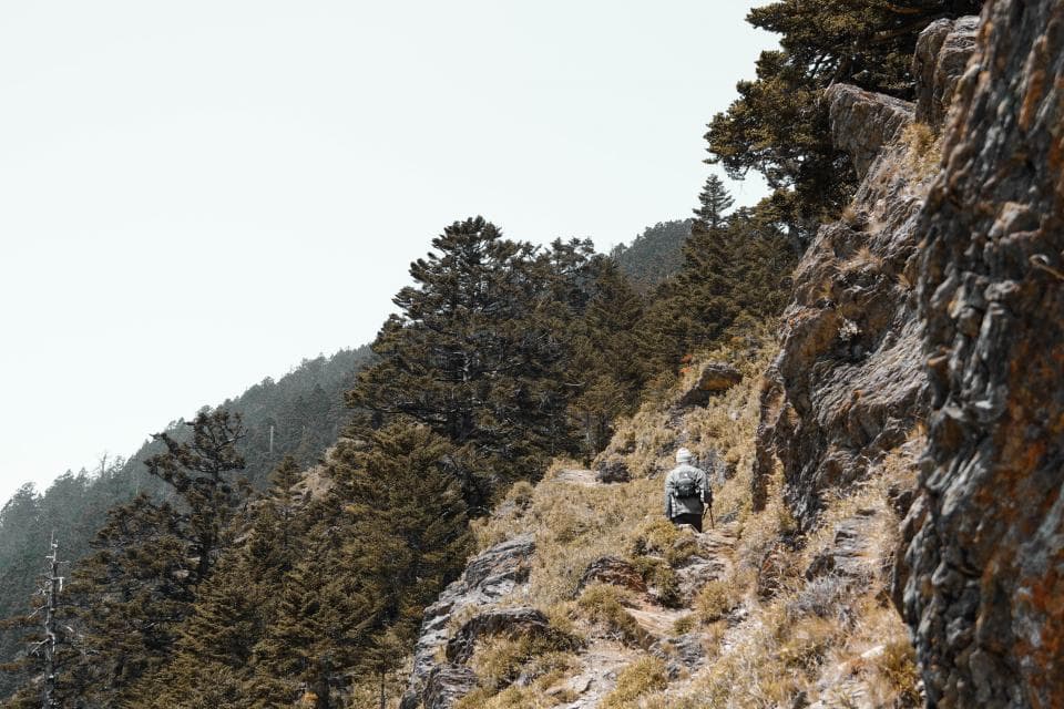 這張「山路」的照片是,一個人走在山坡上,旁邊是茂密的樹林和岩石。