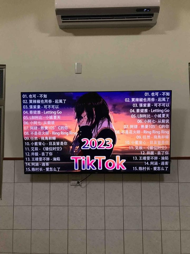 這張照片是一台顯示著 2023 年 TikTok 播放清單的電視。