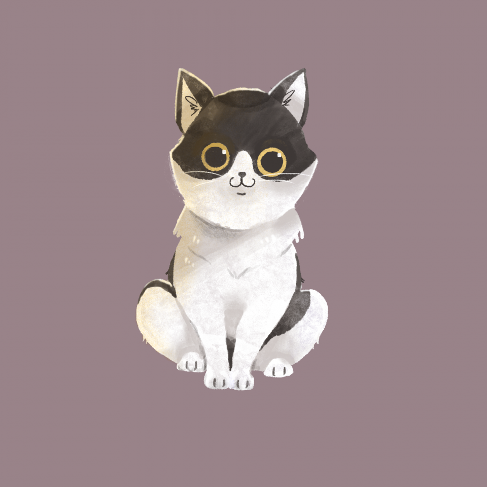 這張照片是一隻黑白相間的貓咪,牠有著一雙圓圓的大眼睛,正看著鏡頭,牠的毛髮蓬鬆而柔軟,看起來非常可愛。