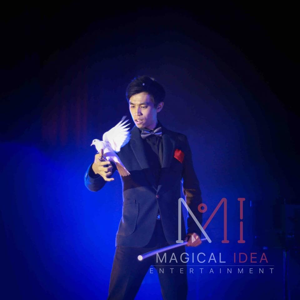 這張「魔術師」的照片是一個穿著西裝的男子正在表演魔術,他手中拿著一根魔杖,並讓一隻白鴿飛起來。