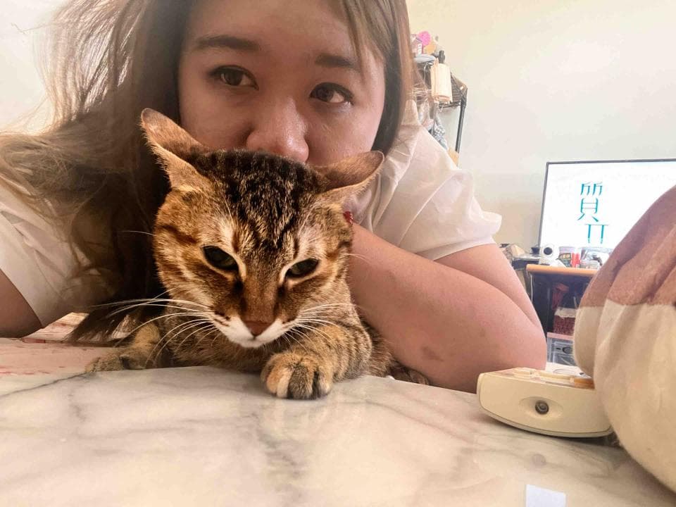 這張照片是一隻可愛的貓咪,它正依偎在一位女孩的懷裡,眼神充滿著溫柔。貓咪的毛色是棕黃色,有著明亮的綠色眼睛,看起來非常可愛。