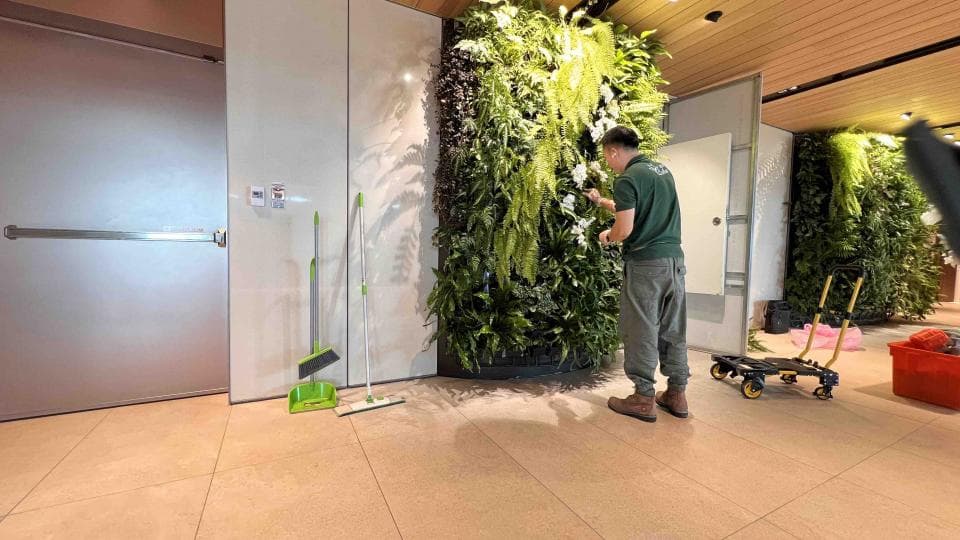 這張「室內」的照片是一個人站在一個大大的綠色植物牆前,植物牆上種滿了綠色植物。牆壁的另一邊是一扇門,門邊放著兩把掃帚。