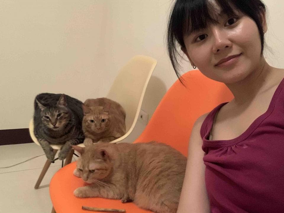1) 照片中有一位年輕女性坐在橘色椅子上,她的旁邊有兩隻貓咪,一隻灰色的貓咪和一隻橘色的貓咪