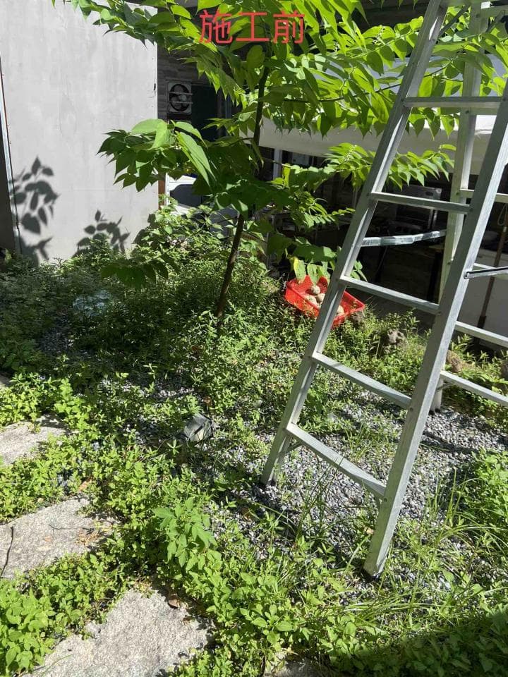 這張照片是一片長滿草和灌木的庭院,角落裡有一把梯子。