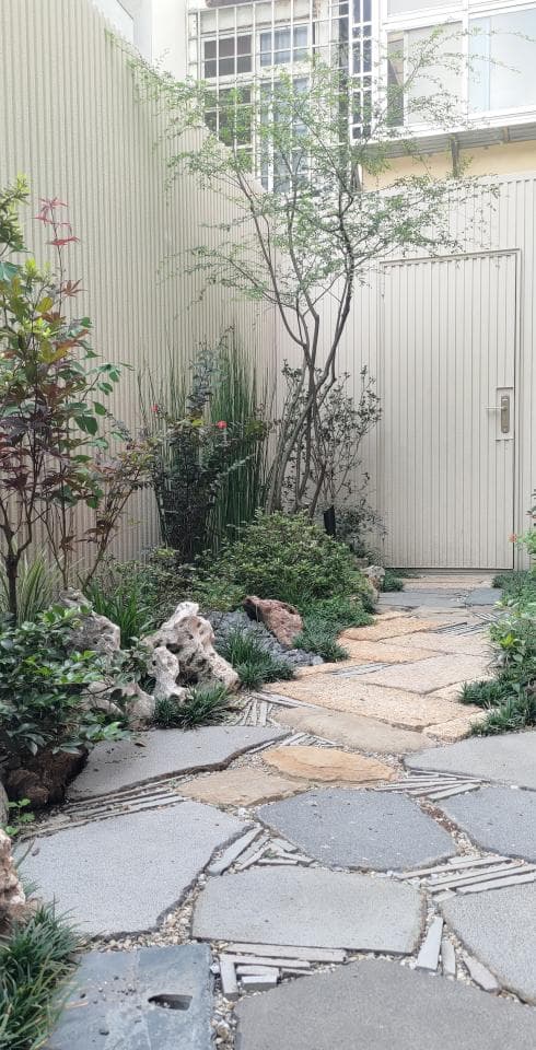 這張照片是一條用石頭鋪成的蜿蜒小徑,小徑兩旁有茂盛的綠色植物和高大的樹木,營造出寧靜自然的氛圍。