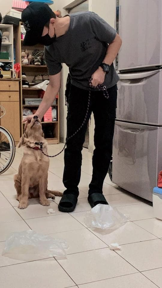 這張「男人在廚房裡牽著一隻金毛尋回犬」的照片是一個穿著灰色T恤和黑色褲子的男人,他正在牽著一隻金色的狗。他們站在一個有白色瓷磚地板的廚房裡。地板上有一些白色的塑膠袋。