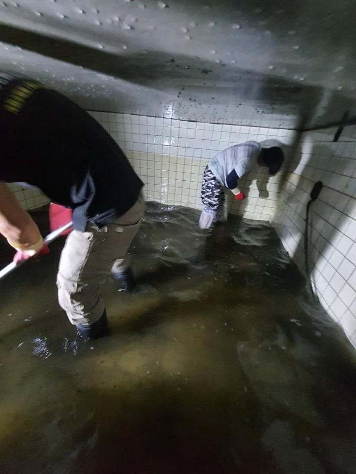 這張照片是兩個人在一個淹水的地下室。