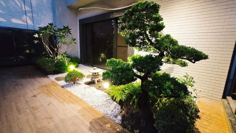 這張「庭院」的照片是一個日式風格的院子,有著一棵盆栽和鋪滿白色石頭的地面。