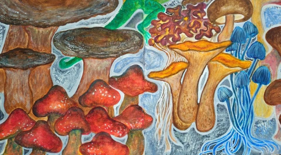 這張照片是一幅油畫,畫的是各種各樣的蘑菇,包括棕色、紅色、橙色和藍色。蘑菇的形狀和大小各不相同,有的高大,有的矮小,有的肥厚,有的纖細。其中最引人注目的是一簇橙色的蘑菇,它們的菌蓋呈漏斗狀,菌柄粗壯,看起來十分鮮豔。