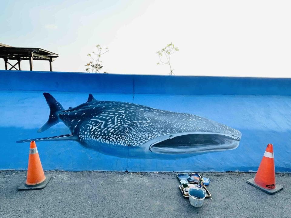 這張照片是一幅牆壁上的鯨鯊壁畫,鯨鯊張著嘴巴,露出白色的牙齒,栩栩如生。