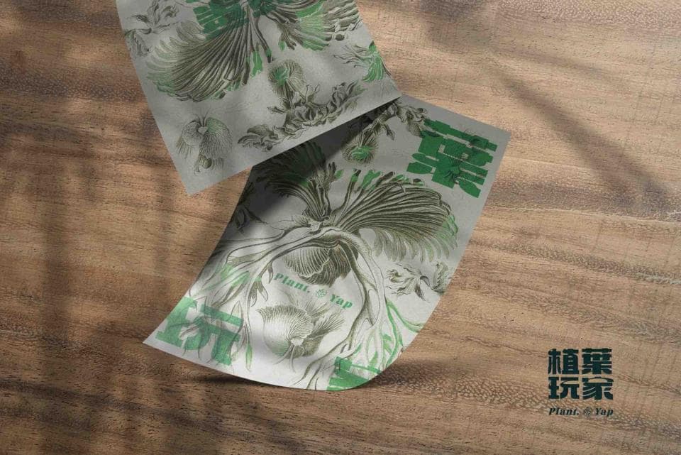 這張「植物誌」的照片是一張印有植物圖案的紙張,上面寫著「植物誌」的字樣。紙張放在木質地板上,地板上有光影。
