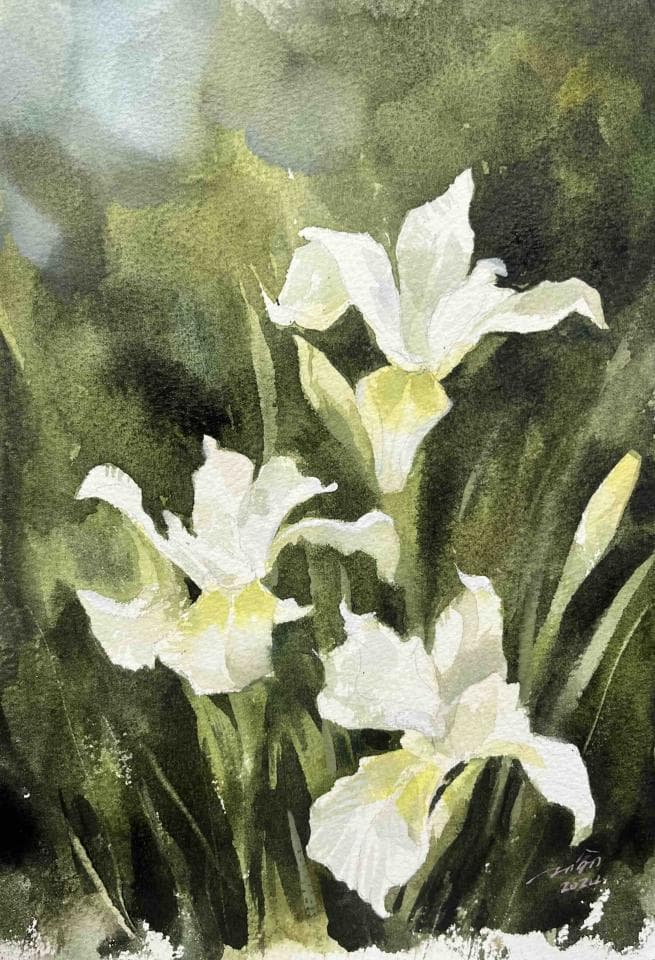 這張照片是三朵白色鳶尾花,在綠色植物背景中,優雅地展現出它們的姿態。 它們的花瓣呈現出淡淡的白,並帶有一絲淡淡的黃色,它們的花蕊尚未完全展開,隱藏在花瓣之中。 翠綠的葉片襯託著白色鳶尾花,讓它們更加顯眼,充滿著生機與活力。