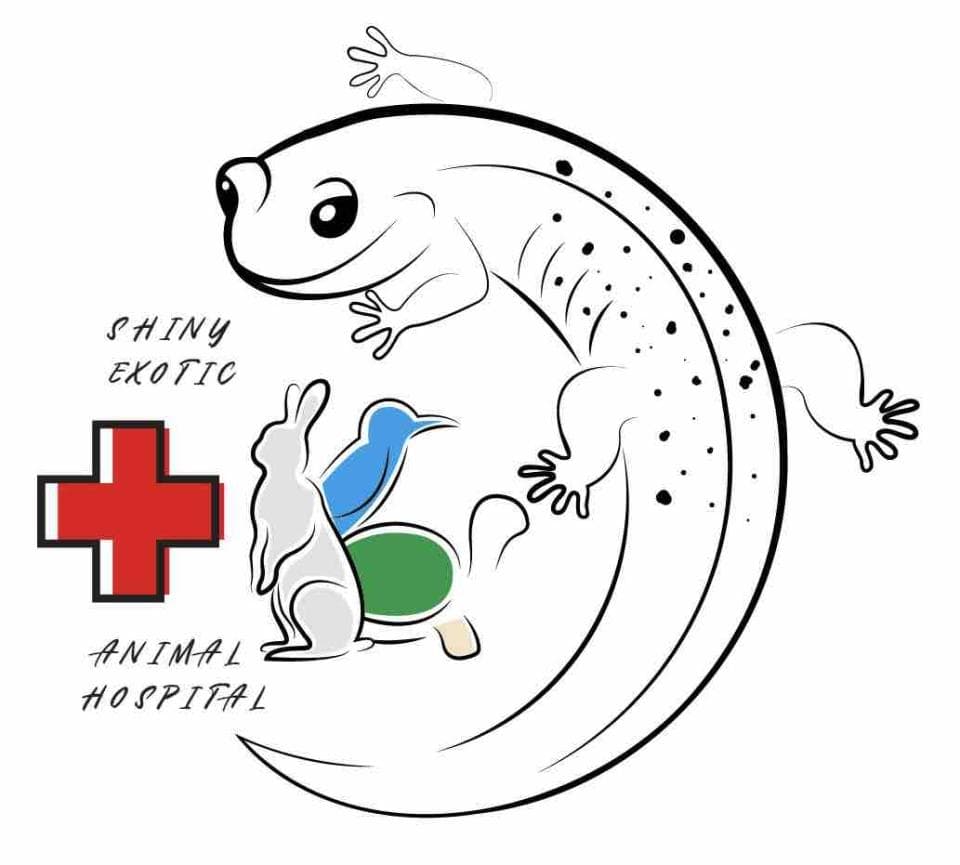 這張「閃亮奇異動物醫院」的照片是一個蜥蜴的圖案,牠的尾巴圍成一個圓圈,裡面有兔子、鳥和烏龜。