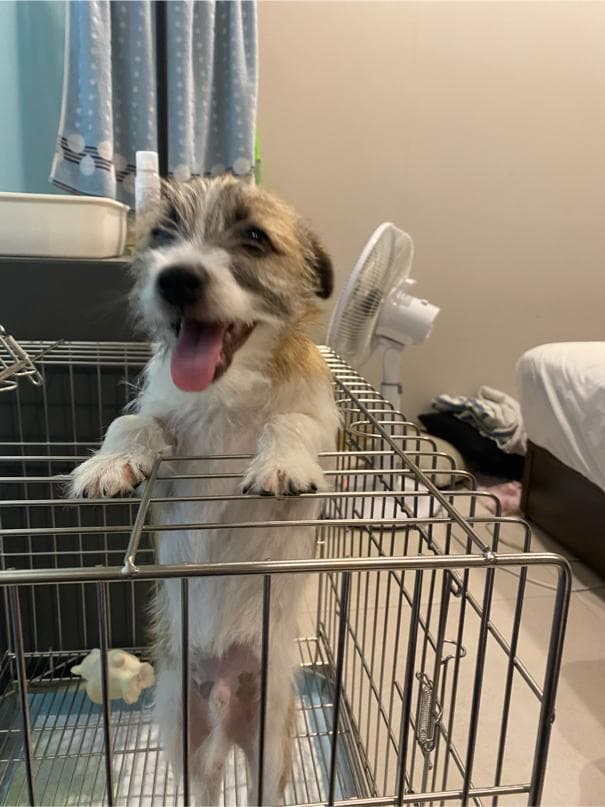 這張「市場價格策略」的照片是關於產品定價策略的分析圖。圖表顯示了不同價格區間下,不同類型的消費者購買意願,並找出最佳定價點。