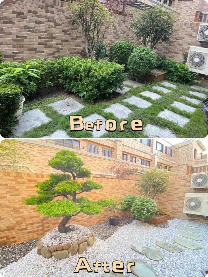 這張「前後對比」的照片是,左邊是原本的庭院,長滿了灌木叢和草,中間有幾塊石頭;右邊是庭院改造後,種了一棵盆栽樹,地面鋪滿了白色的石頭。