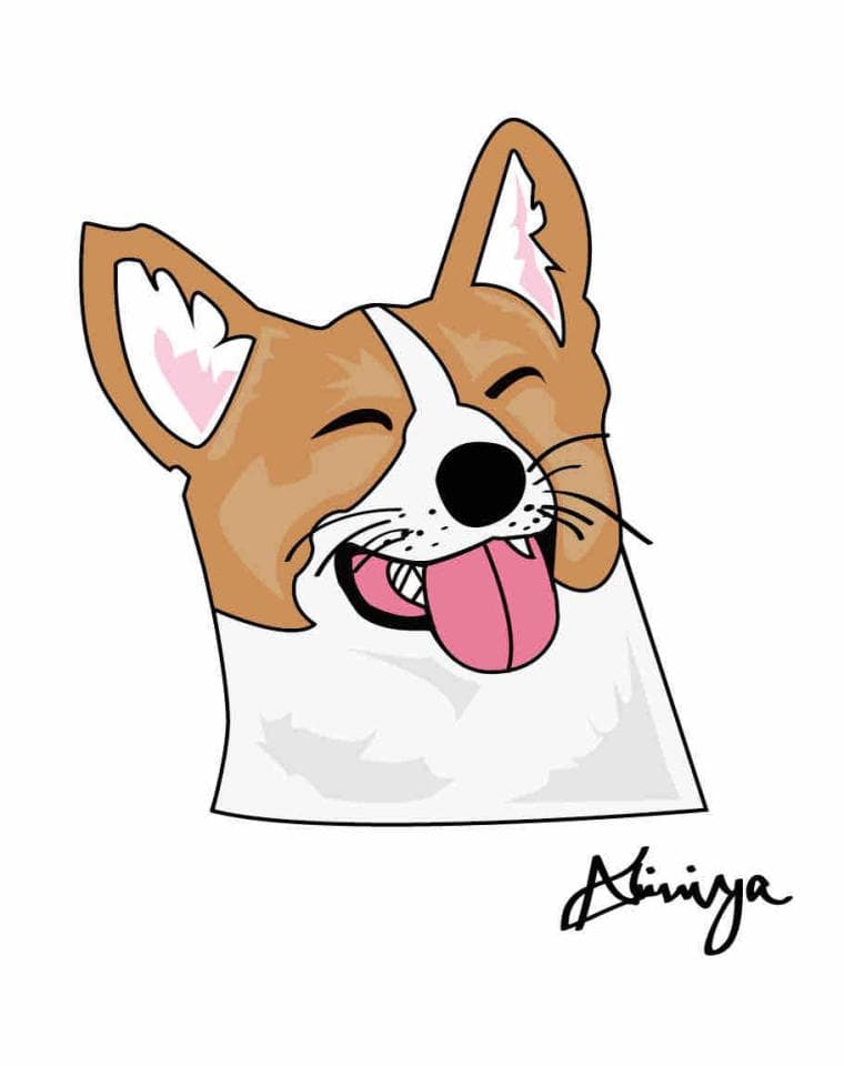 這張照片是一隻露出舌頭、眯著眼睛笑得很開心的狗狗。