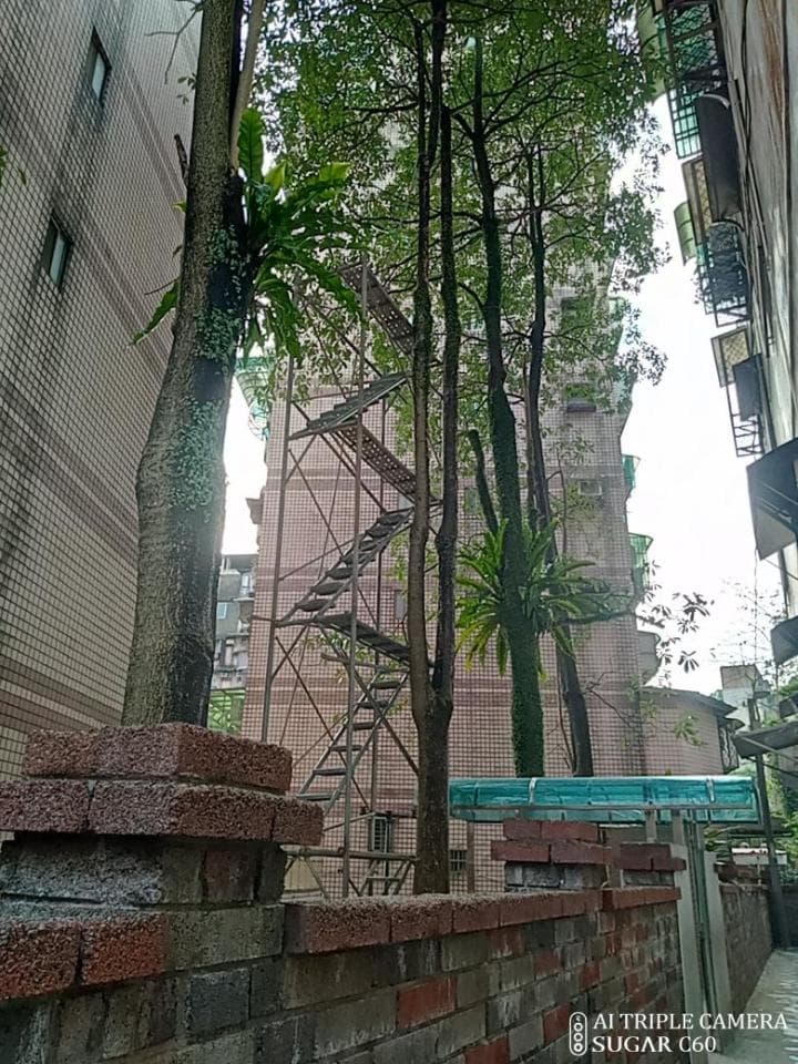 這張「建築物外觀」的照片是一棟磚造建築,旁邊有兩棵樹,其中一棵樹上有一個鐵架,鐵架上有一個梯子。