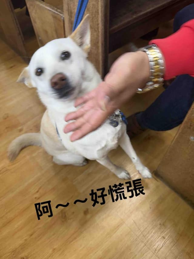 big_image